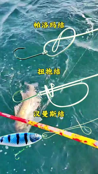 海钓技巧路亚讲解(海钓路亚钓法入门教程)