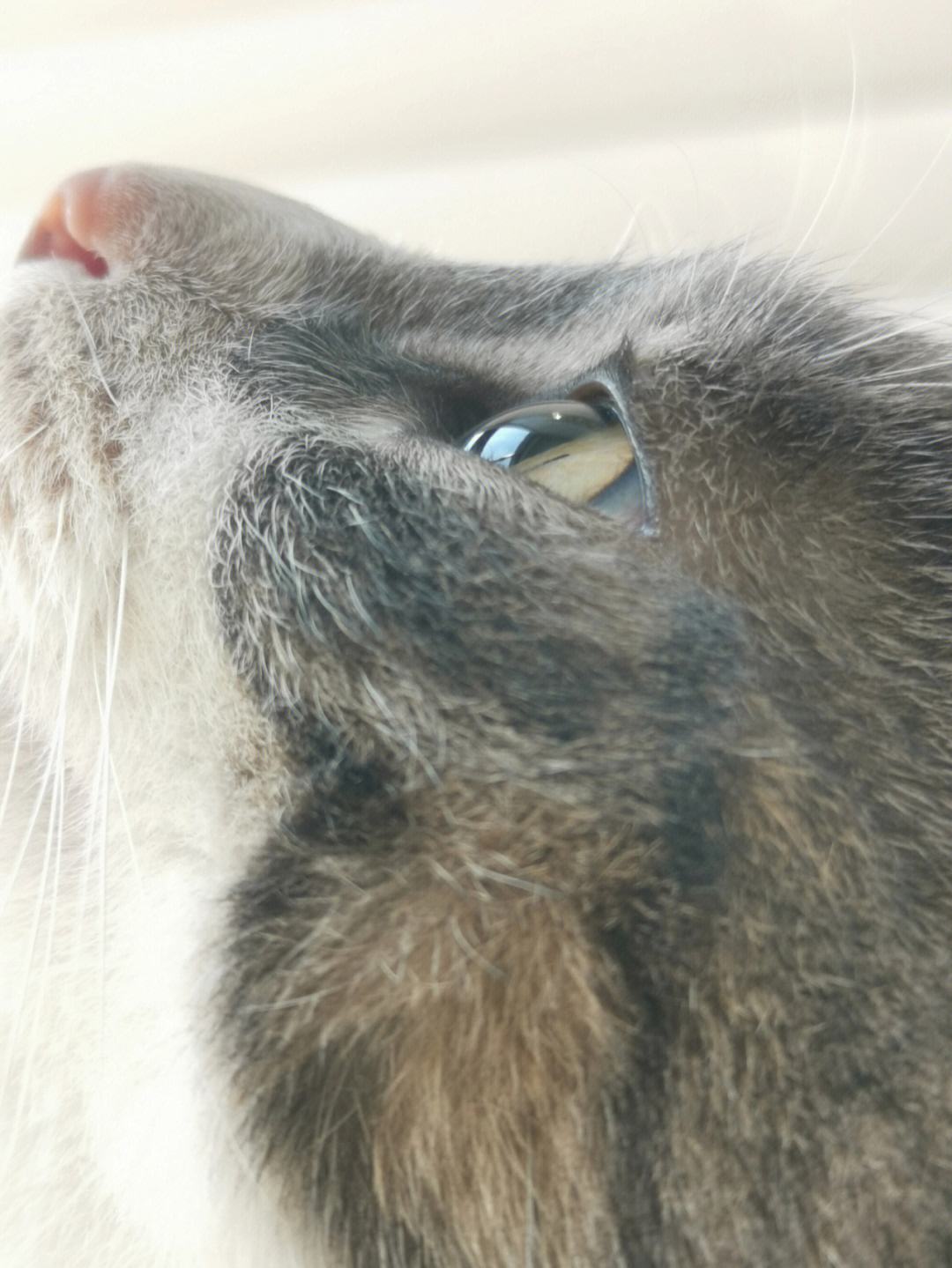 海钓猫姐(海钓海钓视频)