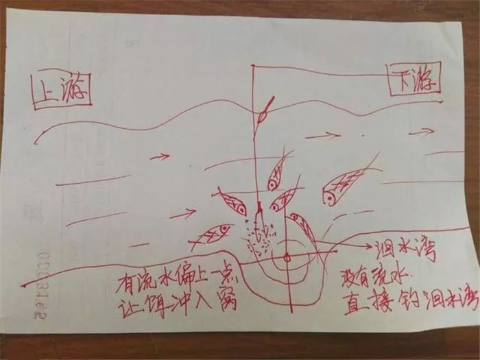 钓草窝鱼技巧(钓草窝鱼技巧视频)