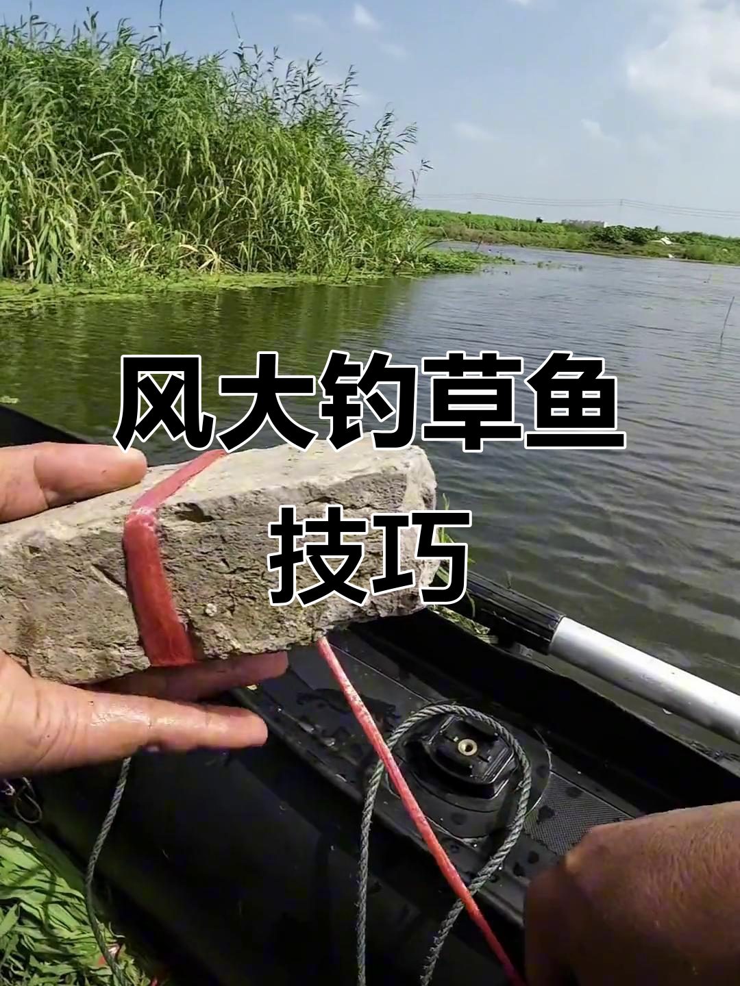 钓草窝鱼技巧(钓草窝鱼技巧视频)