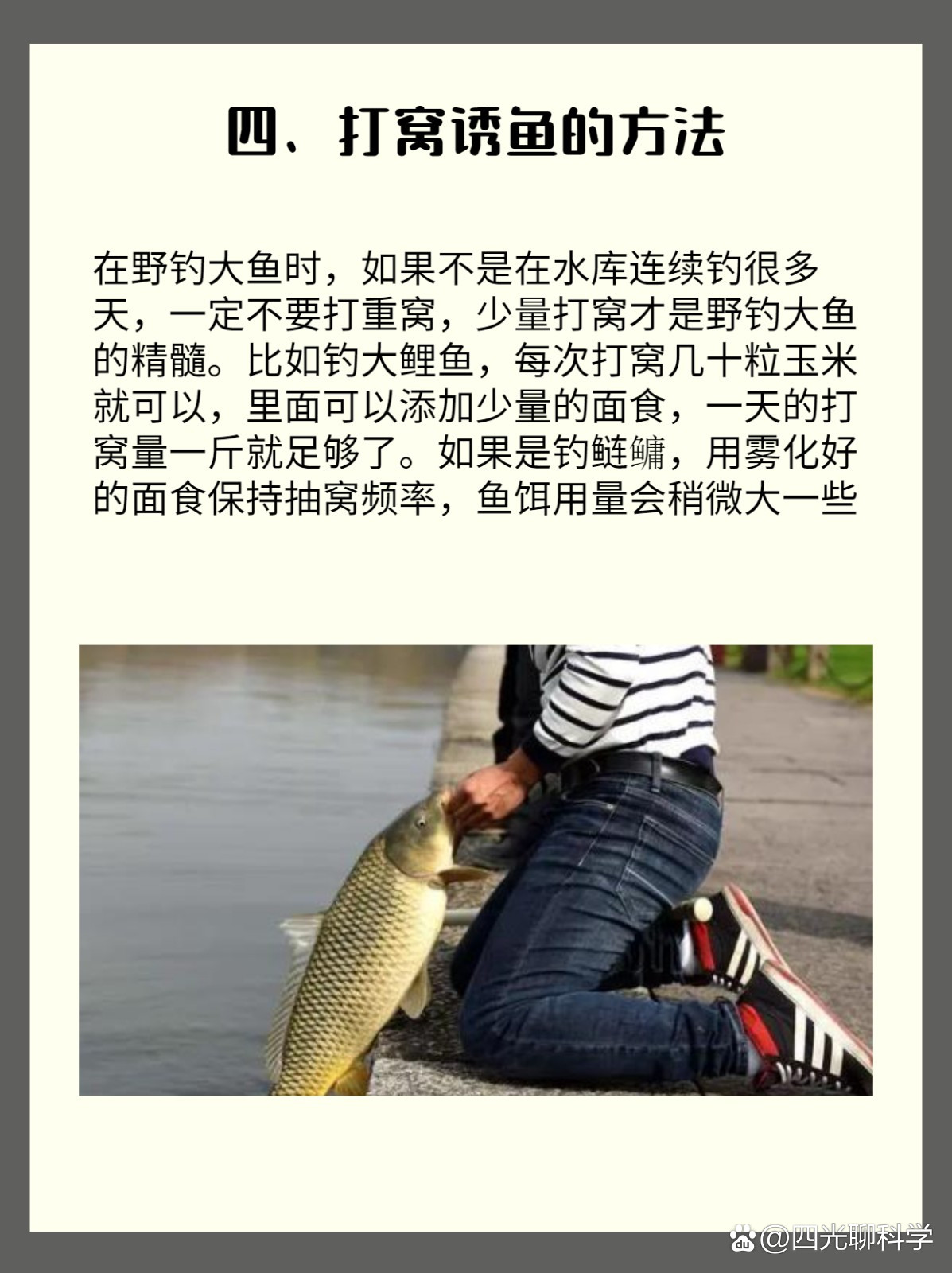 水库钓鱼诱鱼技巧(水库钓鱼诱鱼技巧视频)