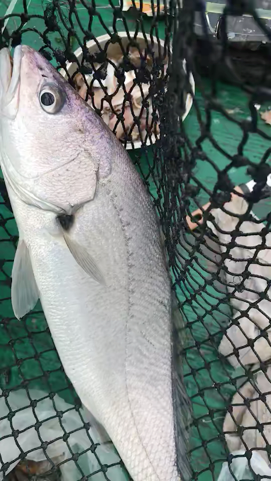 饶平海钓位置(饶平海钓船联系方式)