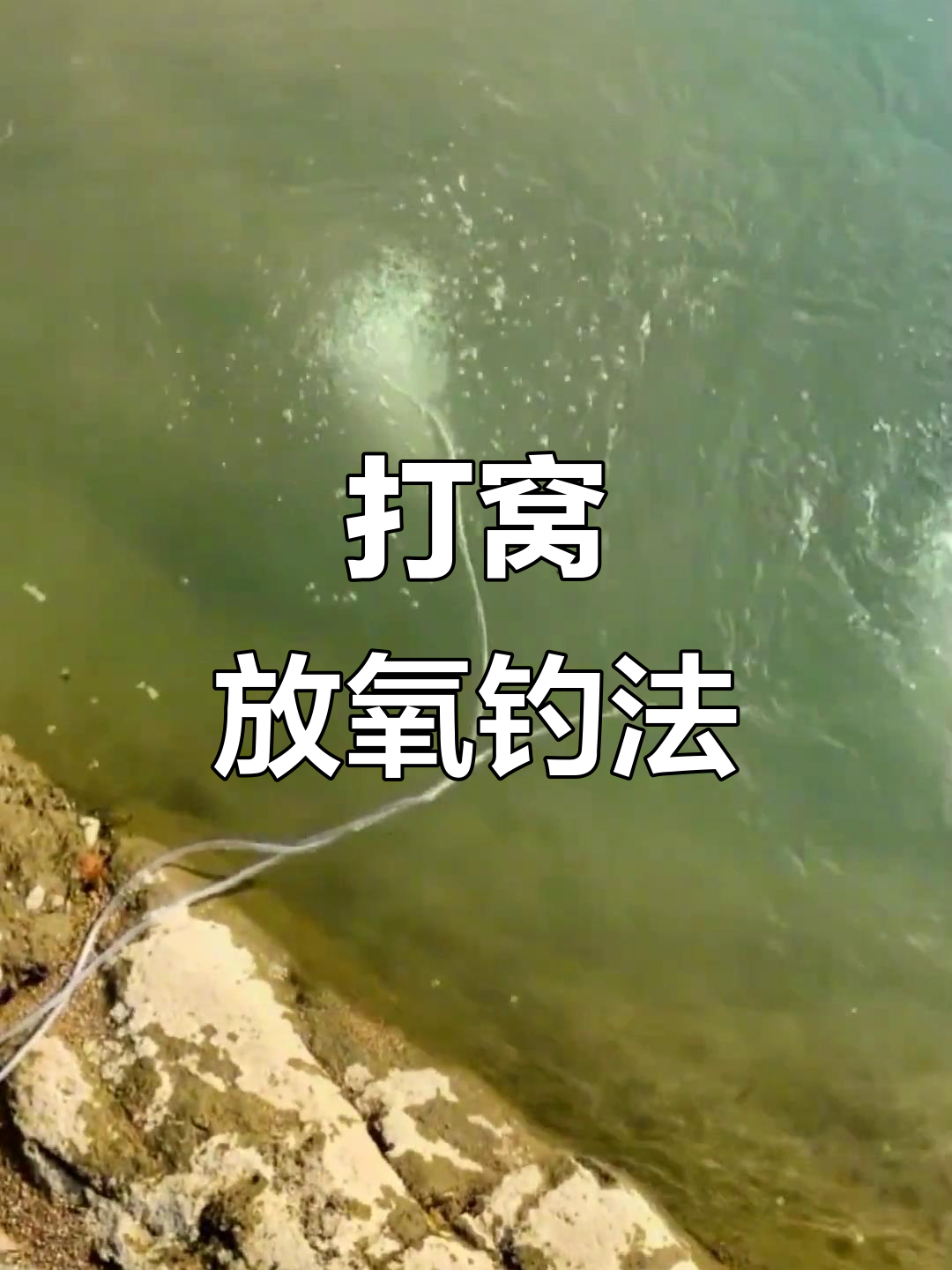 溪流垂钓技巧(溪流垂钓技巧和方法)