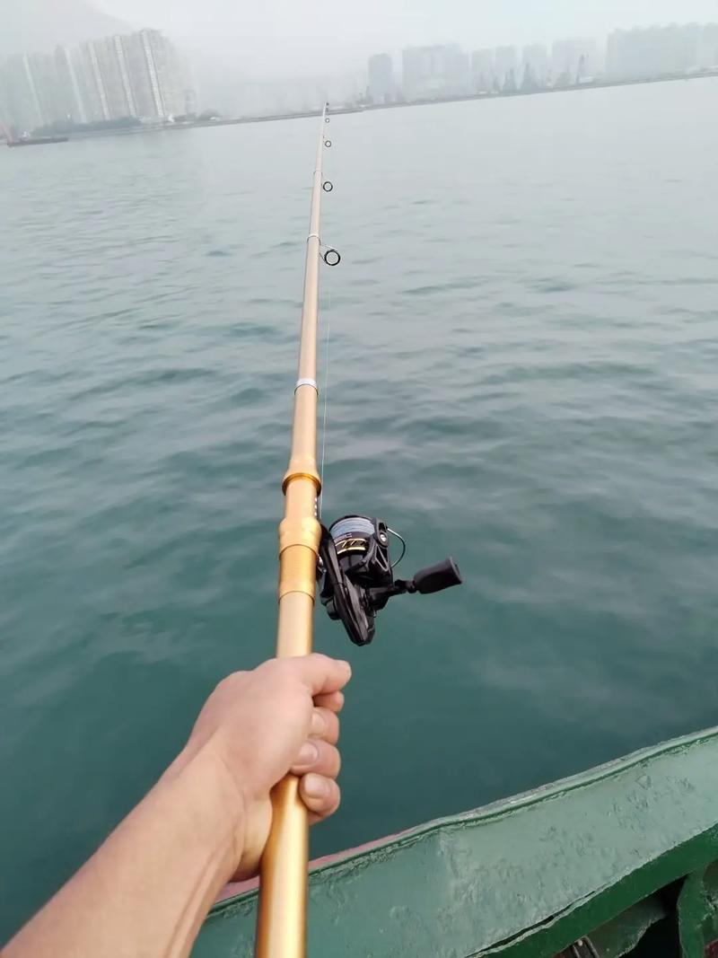 射阳县海钓点(射阳哪里可以海钓)
