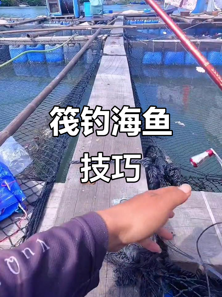 西海筏钓技巧(西海筏钓联系电话)