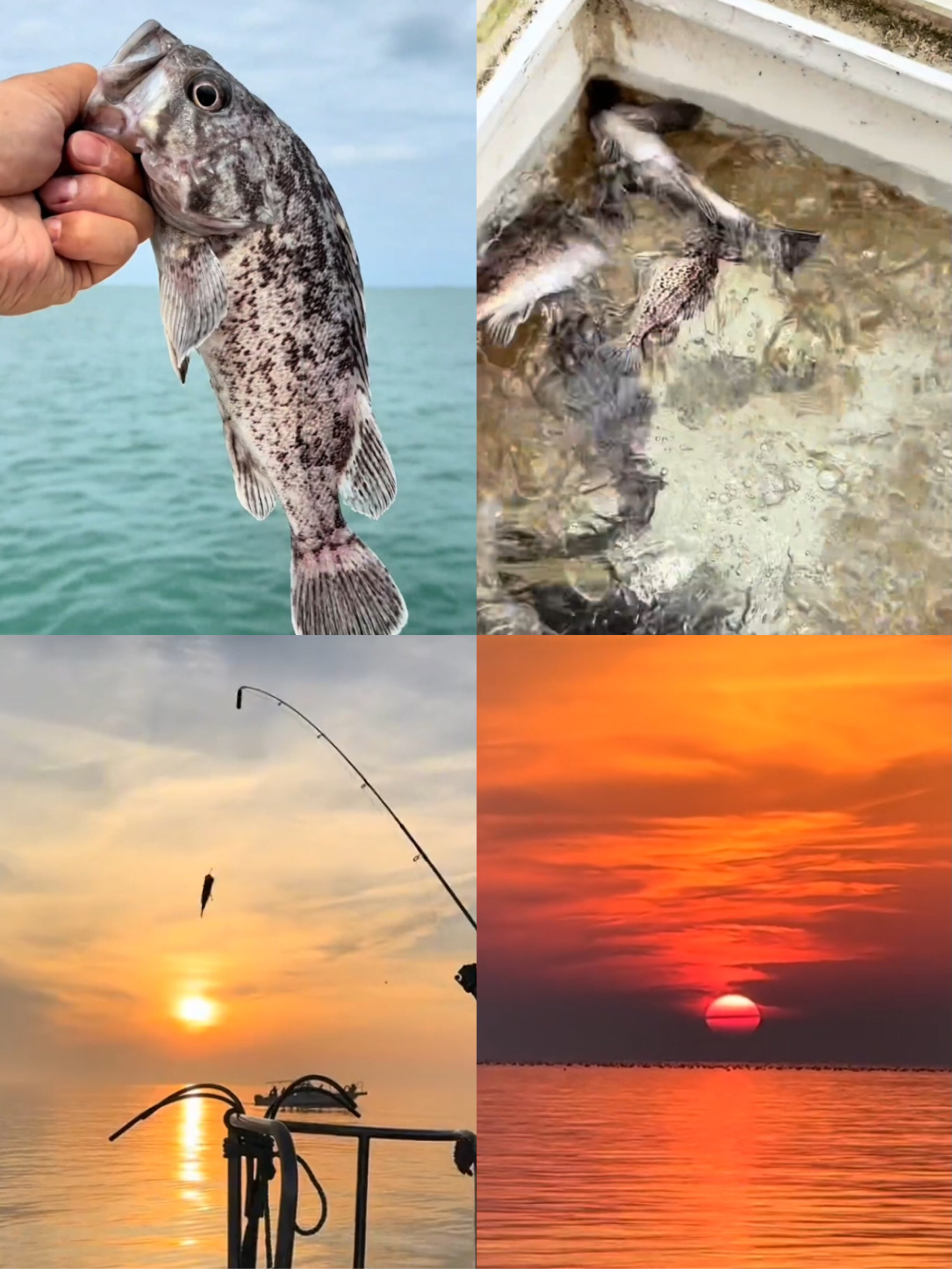 汕头去哪里海钓(汕头去哪里海钓比较好)