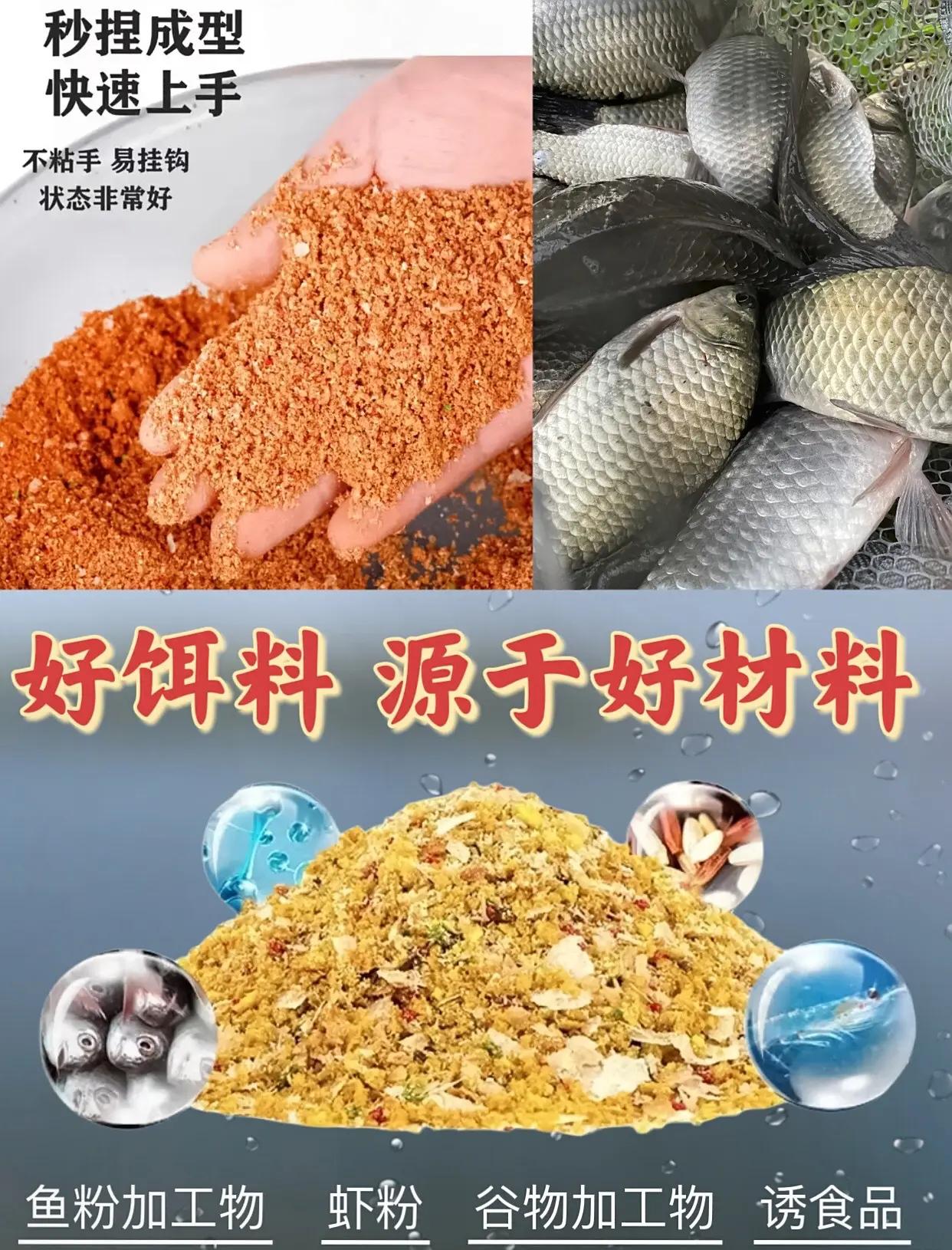 钓鲫鱼用什么饵料好(钓鲫鱼排名第一的饵料)