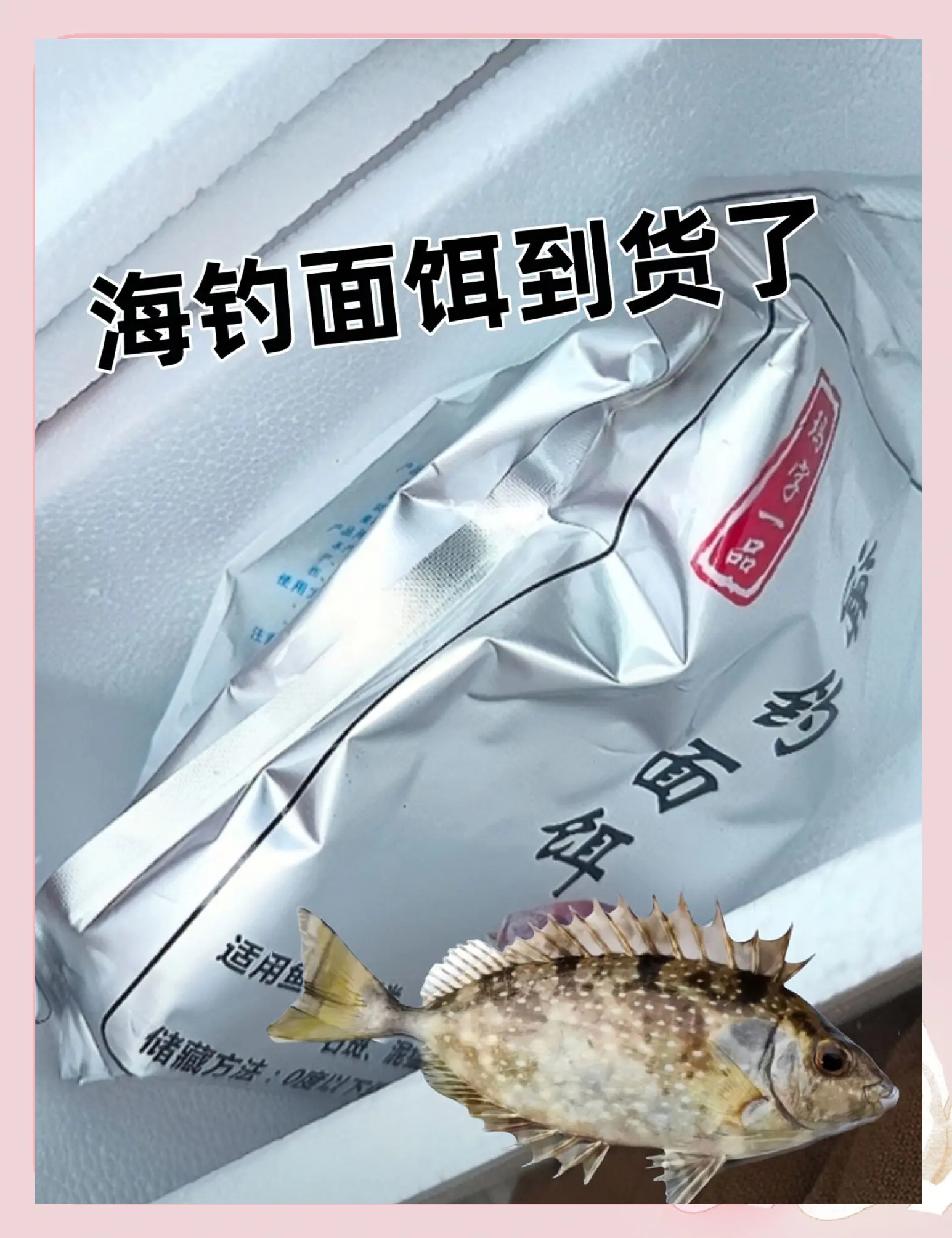 干虾仁海钓(干虾仁可以用来钓鱼么)