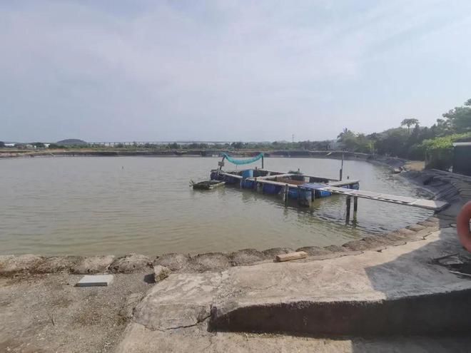 珠海斗门出海钓鱼(珠海斗门出海钓鱼怎么样)