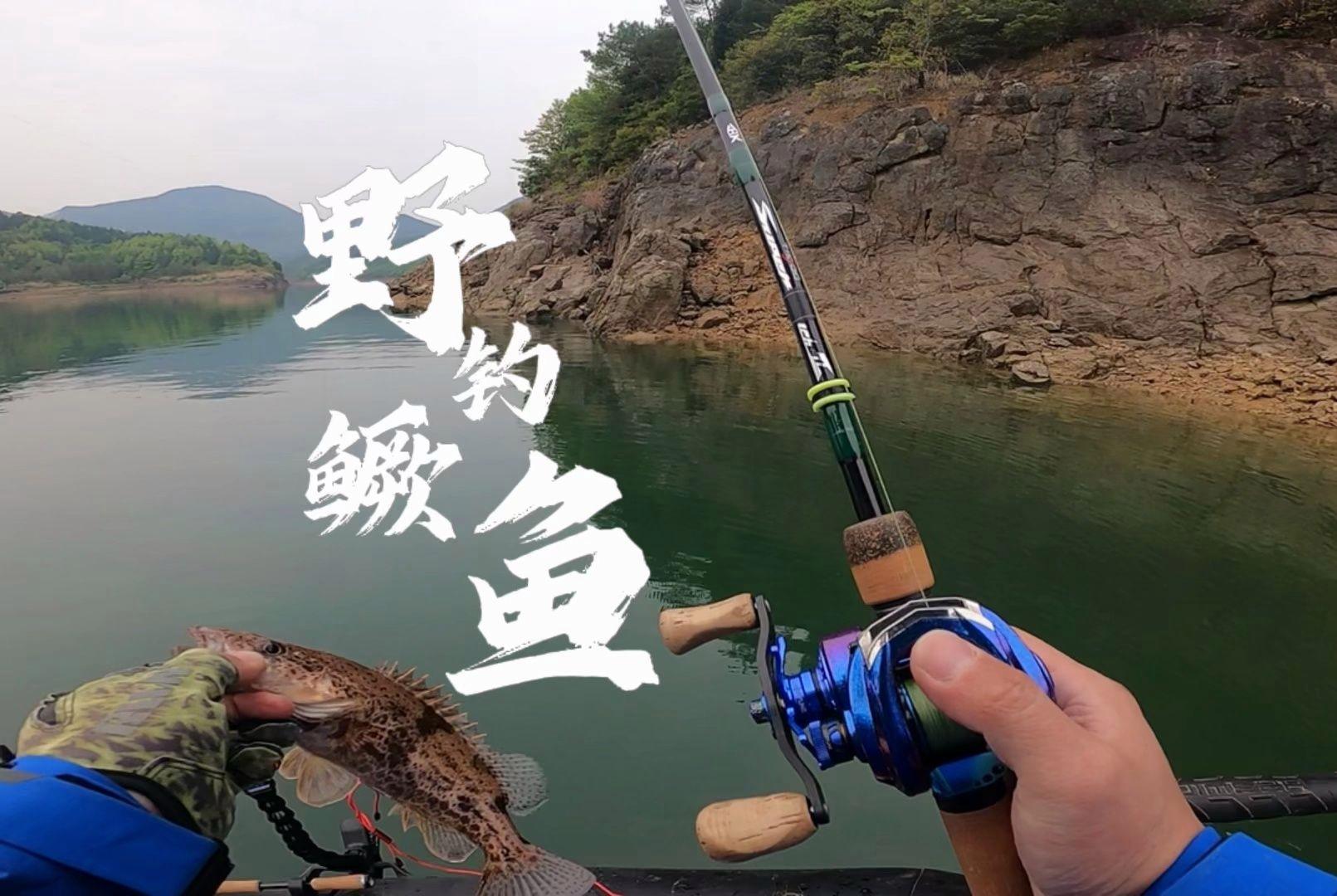 国产路亚哪个好(国产路亚哪个好用又实惠)