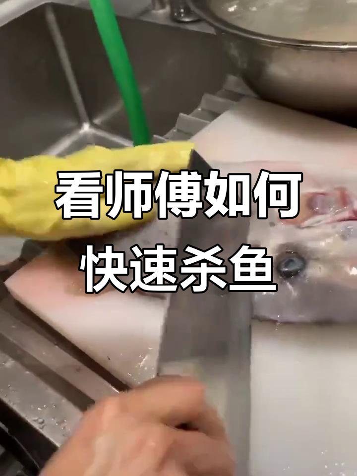 杀鲤鱼技巧视频(杀鲤鱼技巧视频大全)