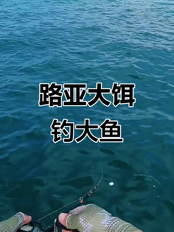路亚海钓攻略(路亚海钓教学讲解视频教程)