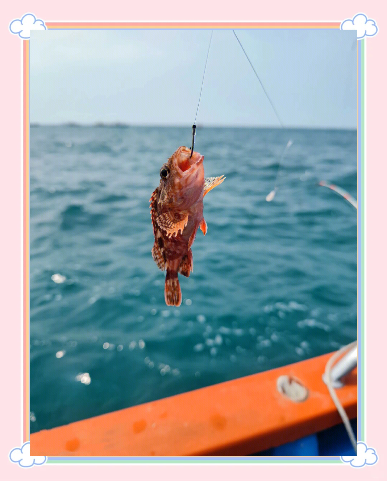 南澳海钓吃海鲜(南澳海钓鱼多少钱一位)