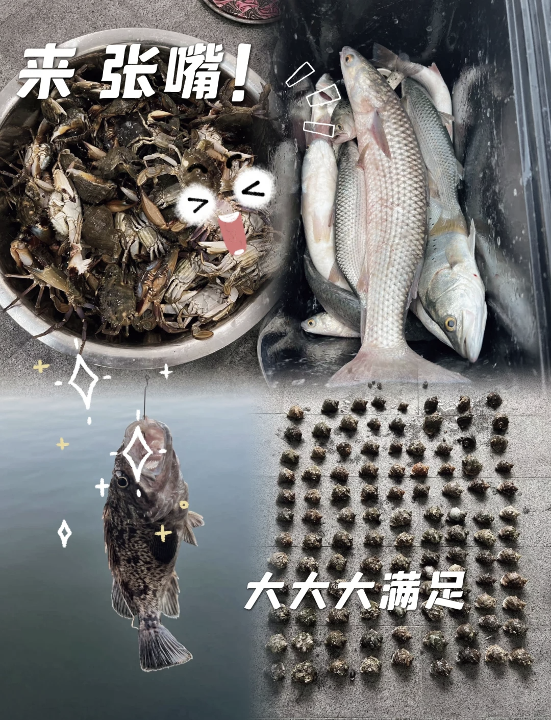 北戴河最好的海钓地点(北戴河最好的海钓地点在哪)