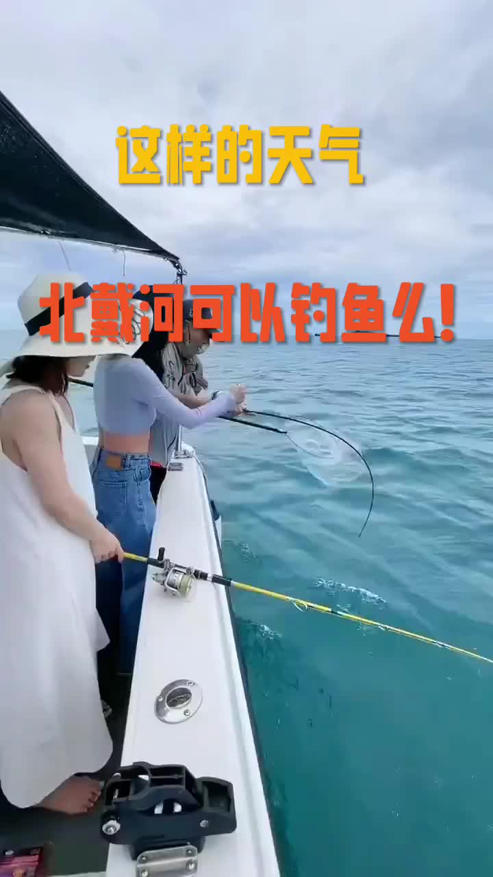 北戴河最好的海钓地点(北戴河最好的海钓地点在哪)
