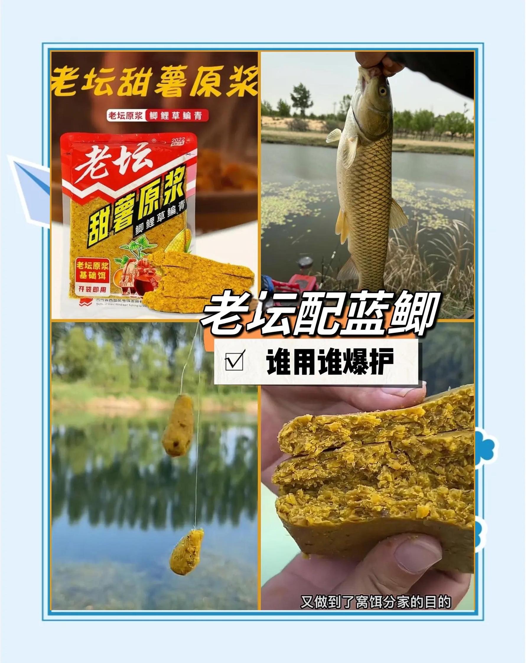 钓鱼怎么活饵料(钓鱼怎么活饵料视频)