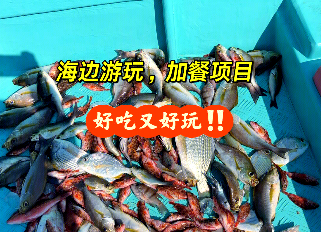 冬季面饵海钓鲷鱼(海钓钓鲷鱼如何选钓点)
