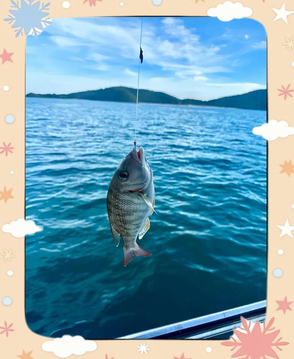 夏季晚上海钓技巧(晚上海钓需要夜光漂吗)
