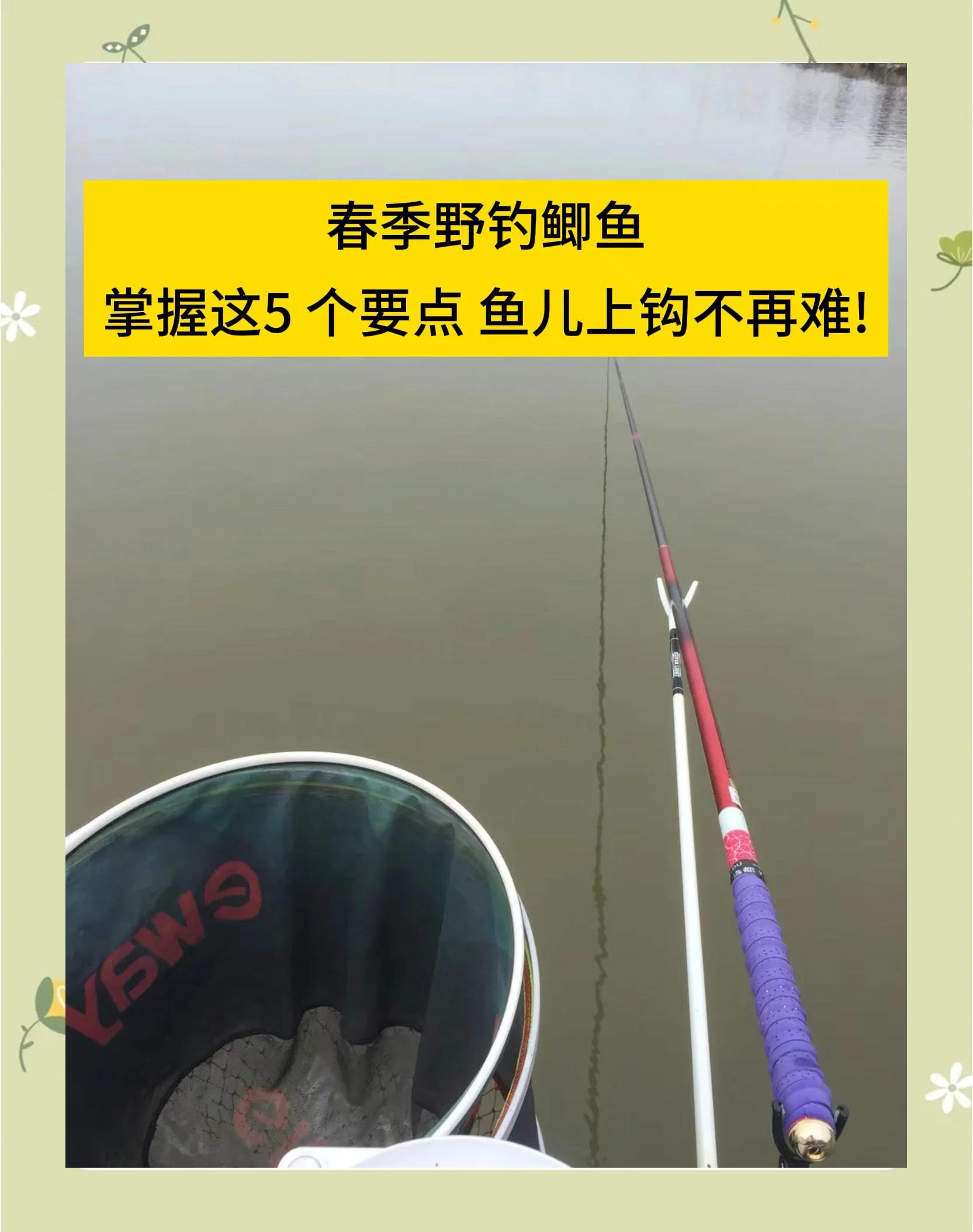 柘林湖钓鱼技巧(柘林湖钓鱼收费吗?)