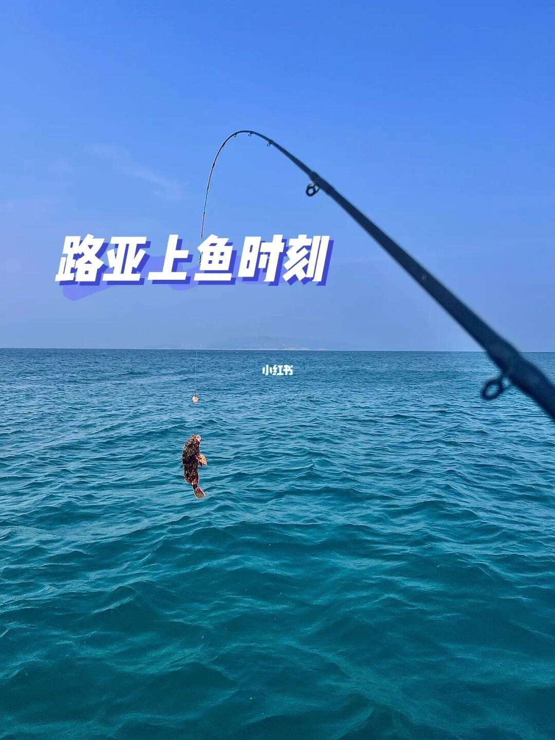 海边适合路亚(海边路亚好钓吗)