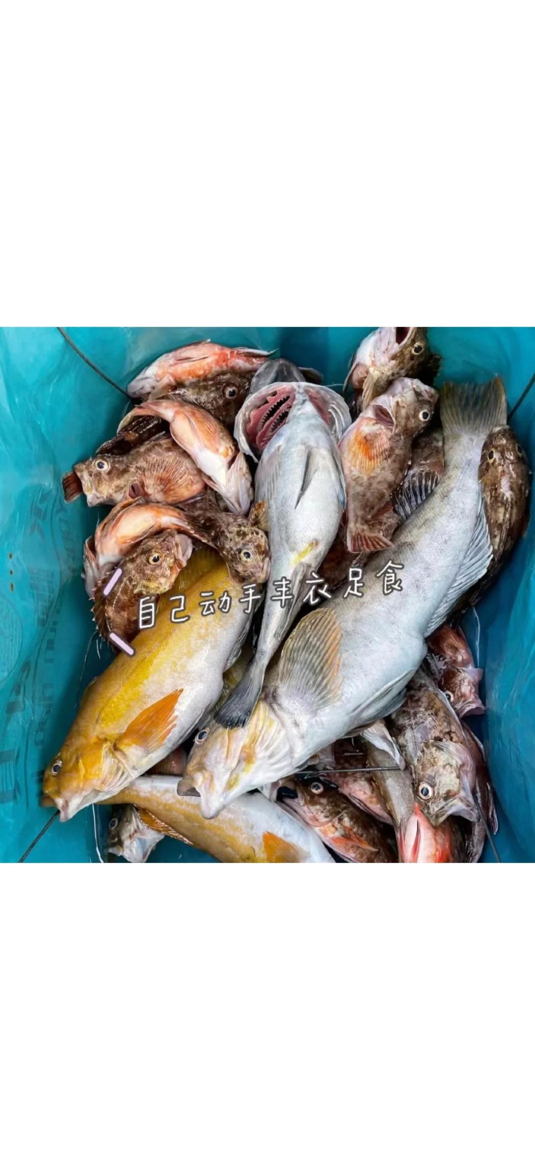 日照适合海钓的月份(日照海钓时间的最佳时间段)
