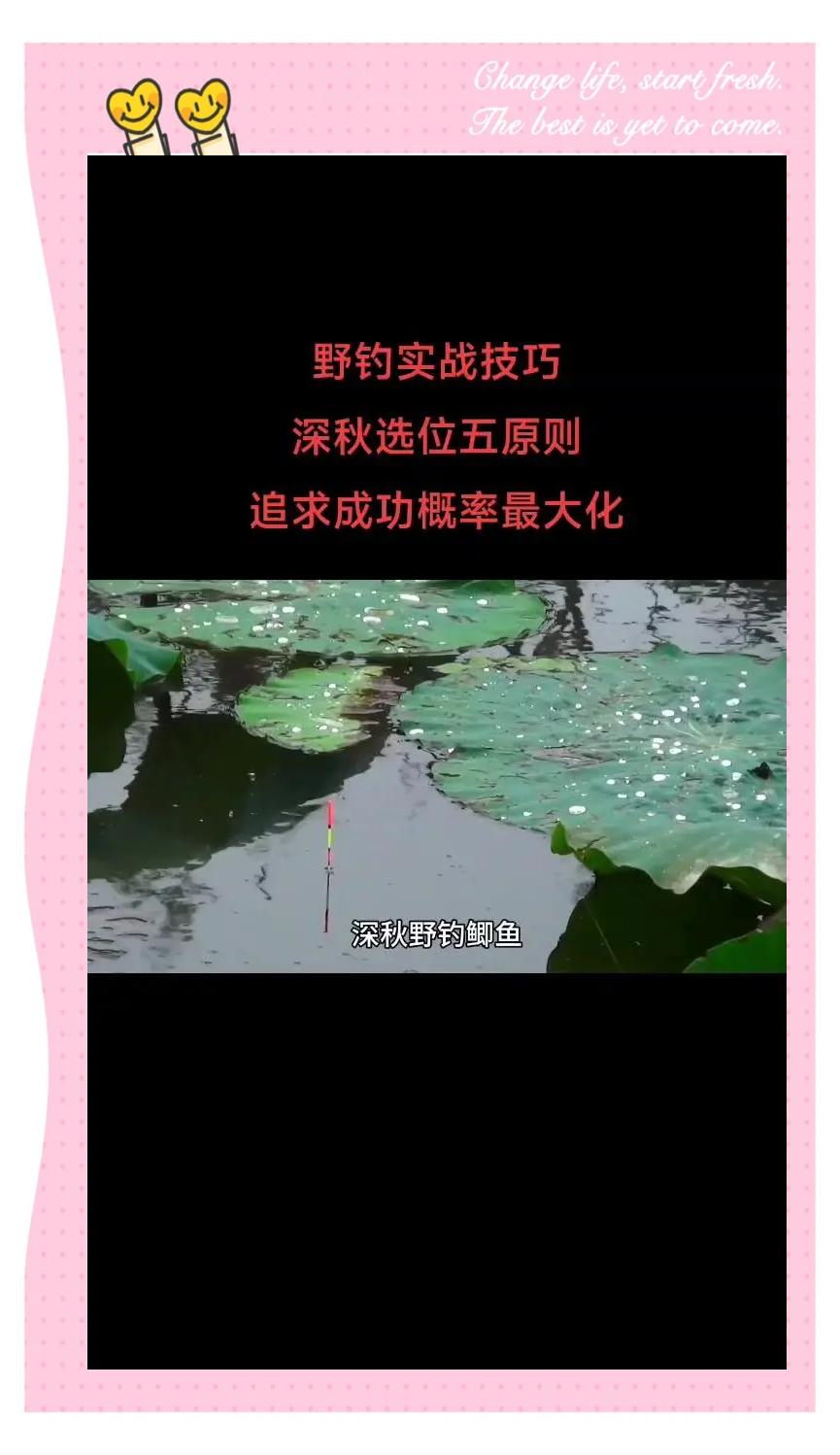 初秋黑坑钓鲫鱼技巧(初秋黑坑钓鲫鱼技巧图解)