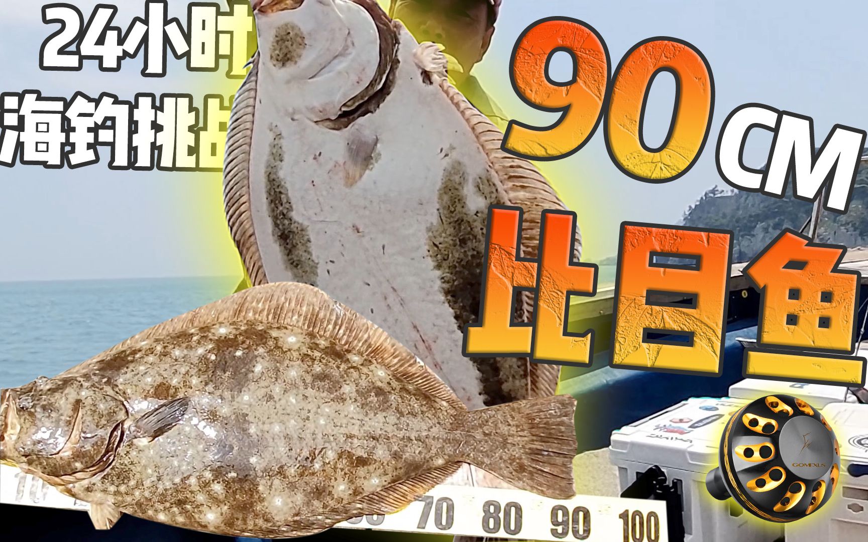 海钓游戏视频(海钓的视频海钓的所有视频)