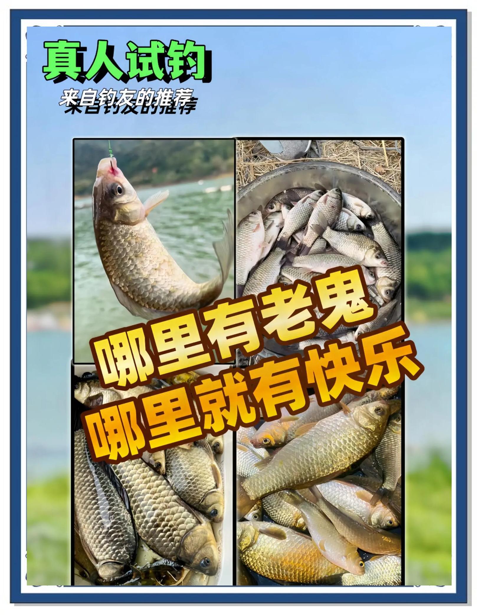 老鬼清淡鱼饵搭配技巧(老鬼钓青鱼饵料配方大全图)