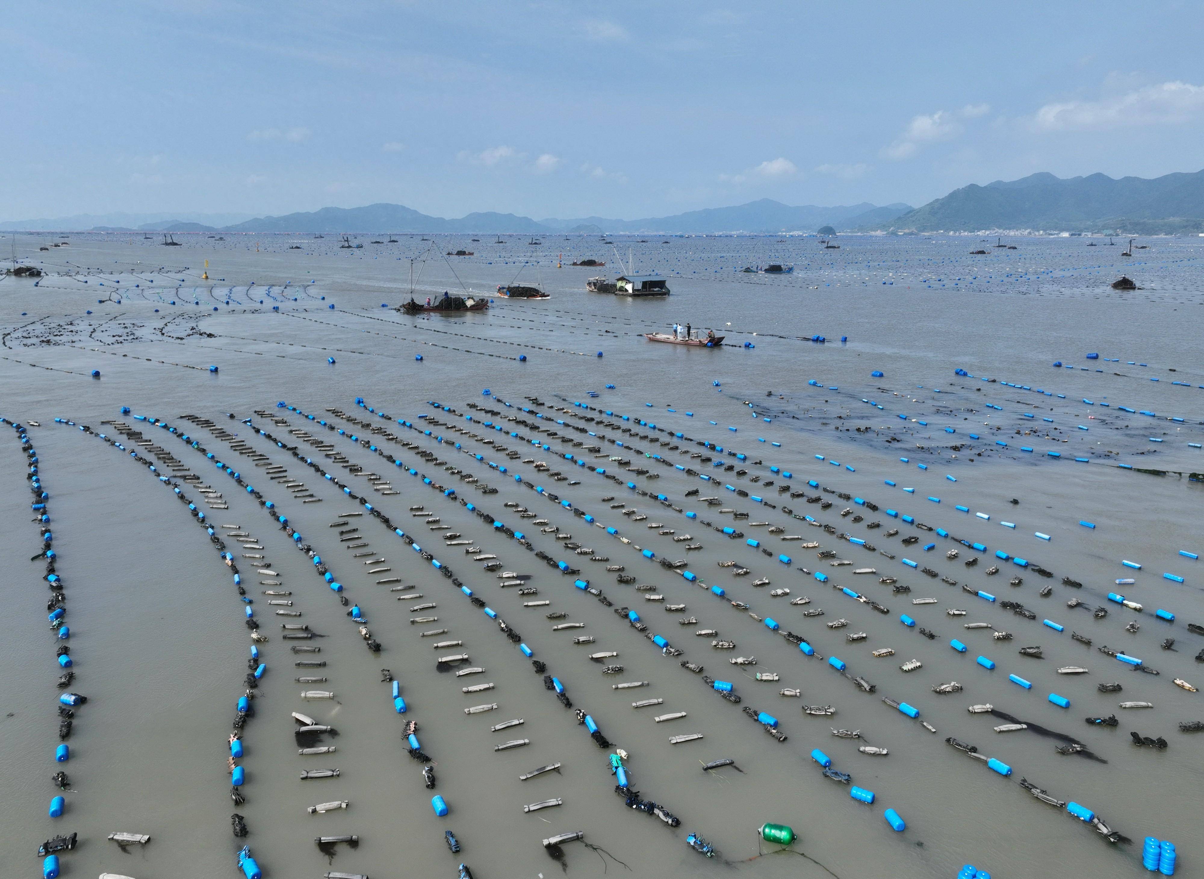 福建霞浦海钓(福建霞浦海钓最佳时期)