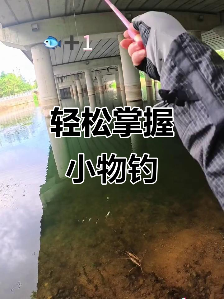 台钓大物技巧(大物杆与台钓杆的区别)