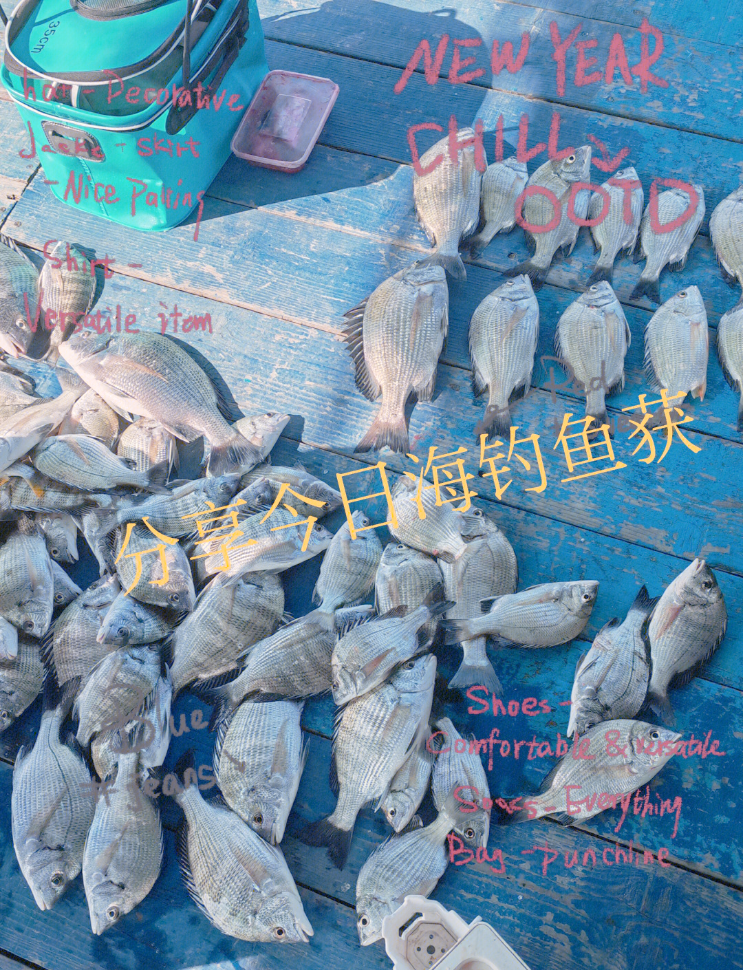 海钓黑鮶鱼水深(钓黑鲩鱼用什么饵料)