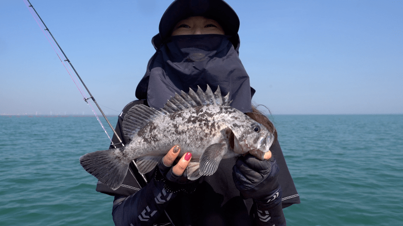 海钓黑鮶鱼水深(钓黑鲩鱼用什么饵料)