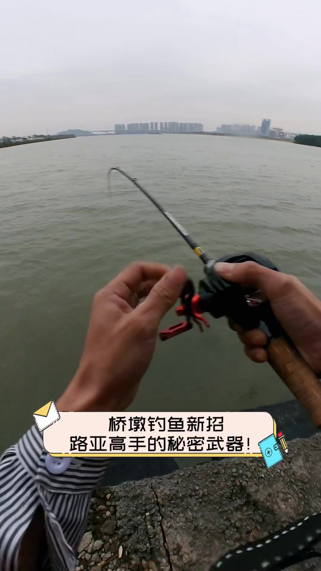 桥筏钓技巧教学视频(桥筏钓鱼视频 入门教程)
