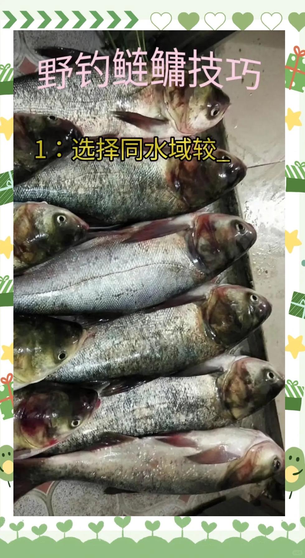 钓子鱼技巧(钓子鱼怎么做了吃)