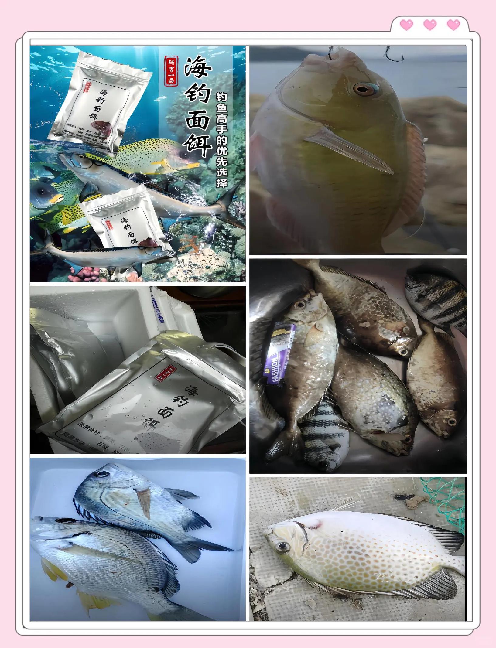 海钓装诱饵(海钓诱饵打窝使用方法)
