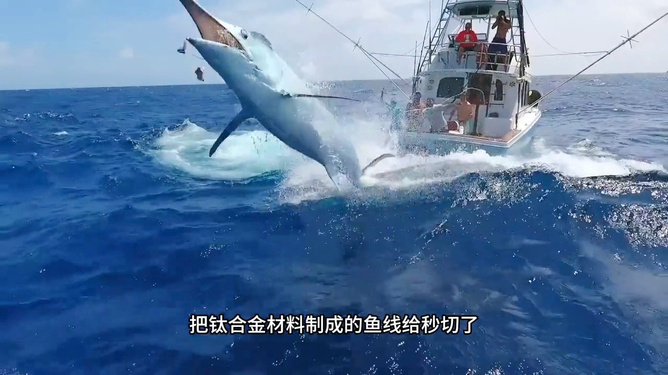 海钓视频路亚(海钓路亚钓组图解)