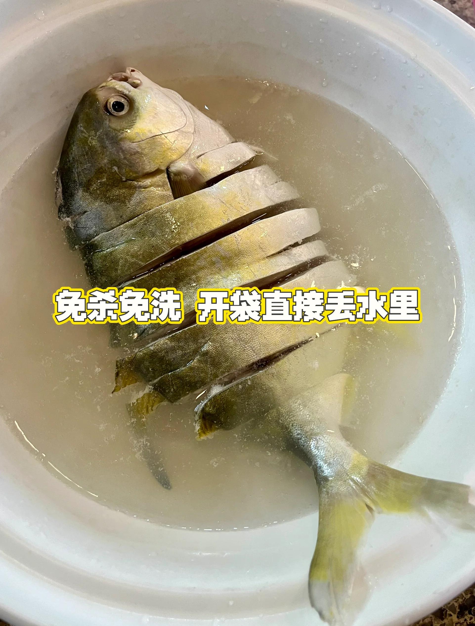 怎样海钓金鲳鱼(海钓金鲳鱼的技巧)