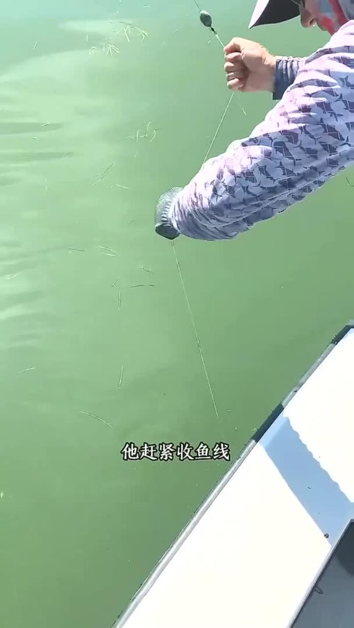 海钓鲨鱼贴吧(海钓鲨鱼贴吧最新消息)