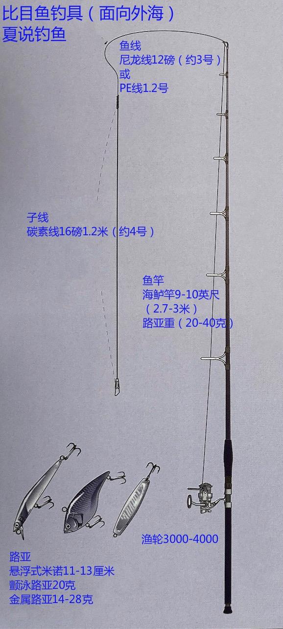 大连钓比目鱼的技巧(钓比目鱼用什么钩合适)