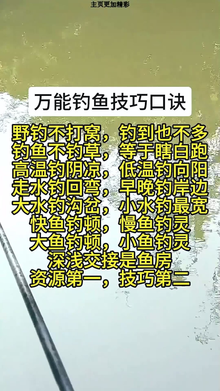 钓鱼有何技巧(钓鱼有何技巧和技巧)