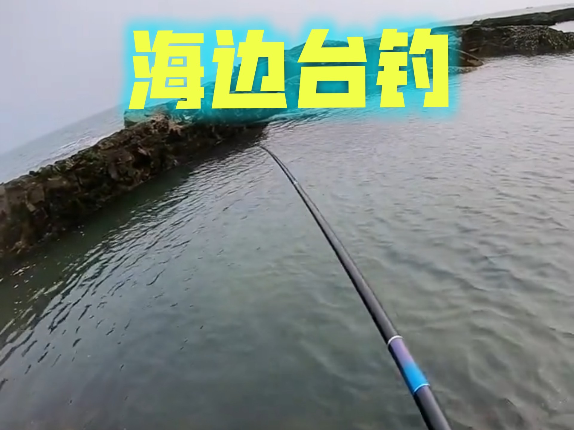 海竿中大鱼技巧视频(海竿钓大鱼线组怎么配)