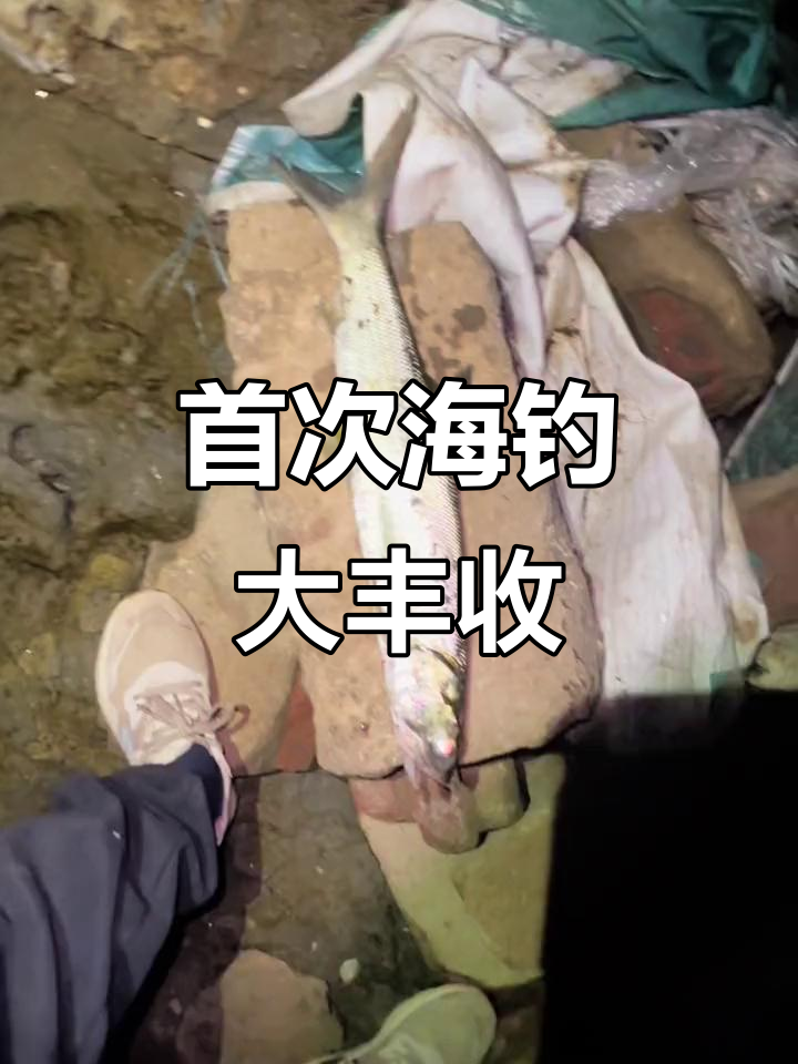 长乐海钓(长乐海钓论坛)