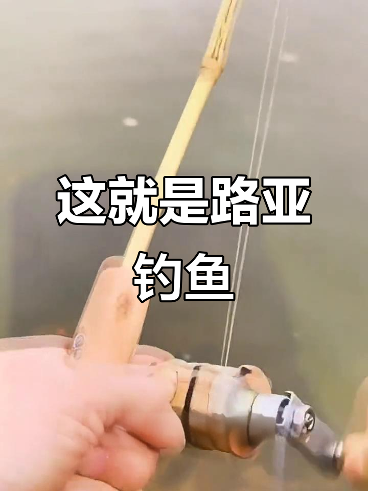 路亚咋甩杆(路亚竿甩杆的用法视频)