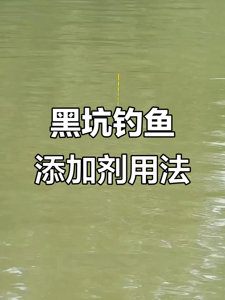 初夏钓黑坑主场技巧(夏季黑坑钓鱼怎样选择钓位)