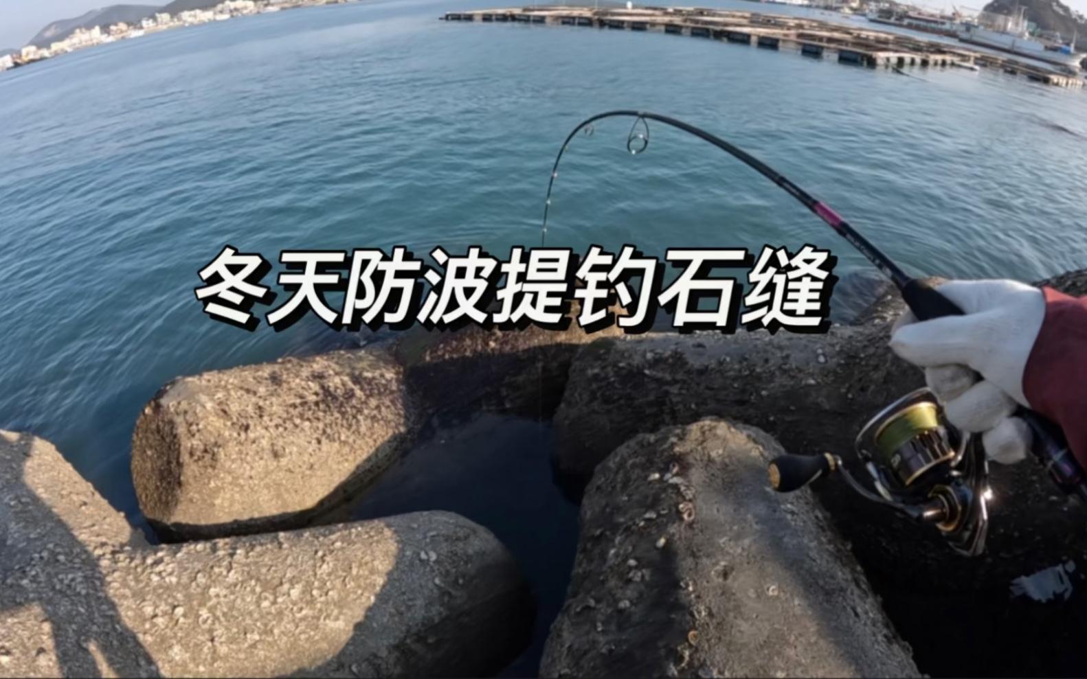 冬天夜晚海钓技巧(冬天海上夜钓鲈鱼可以吗)