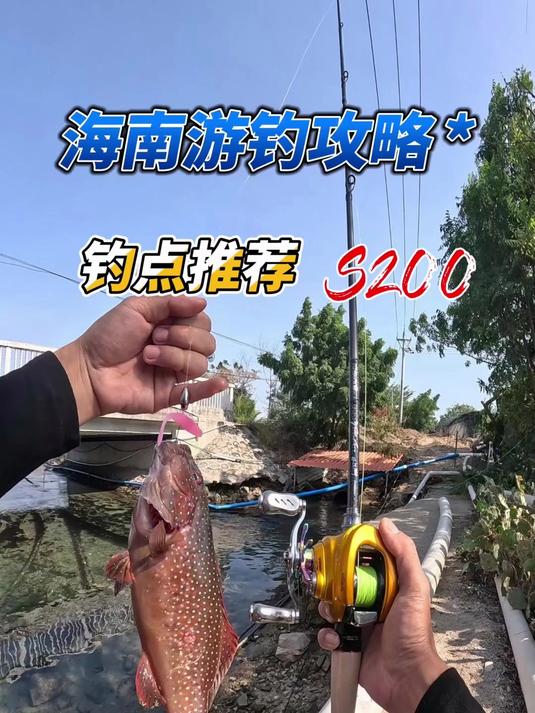 海南海钓总论(海南海钓能钓到什么鱼)