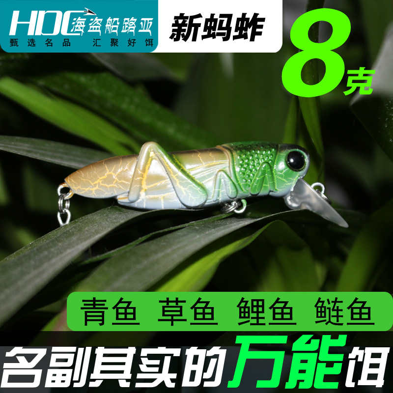 家鱼啥饵料(鱼用什么饵料钓最好)