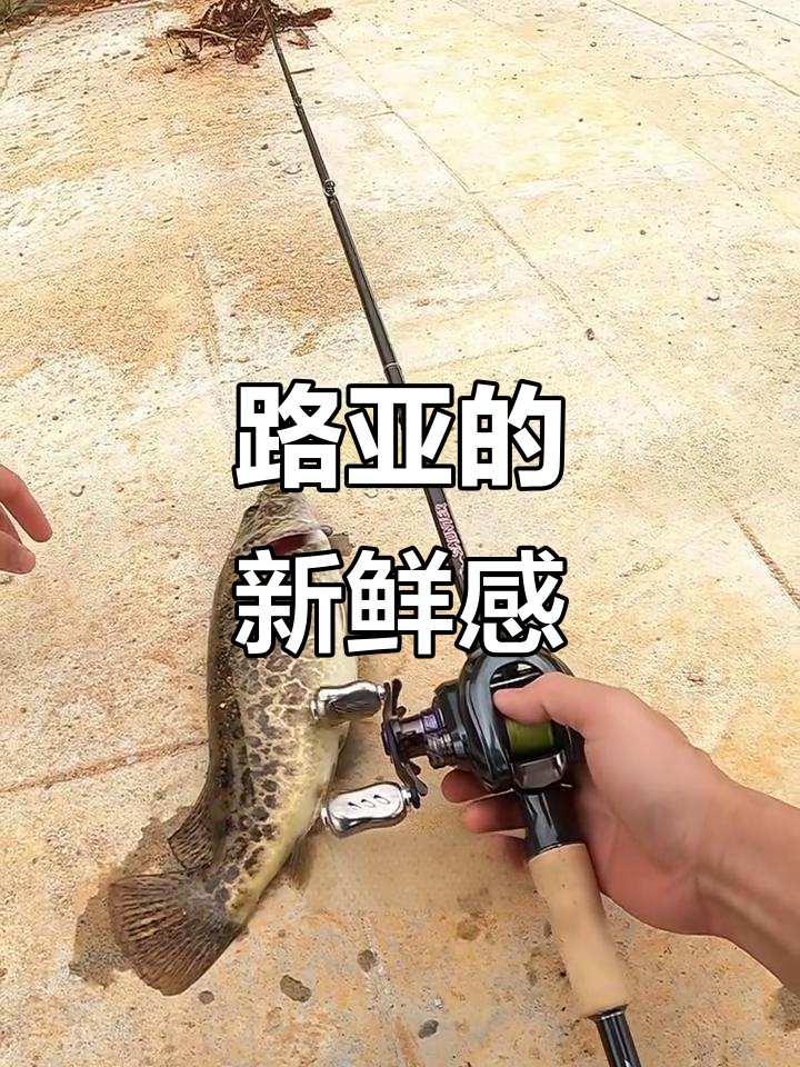 金湾路亚(金湾哪里可以钓鱼)