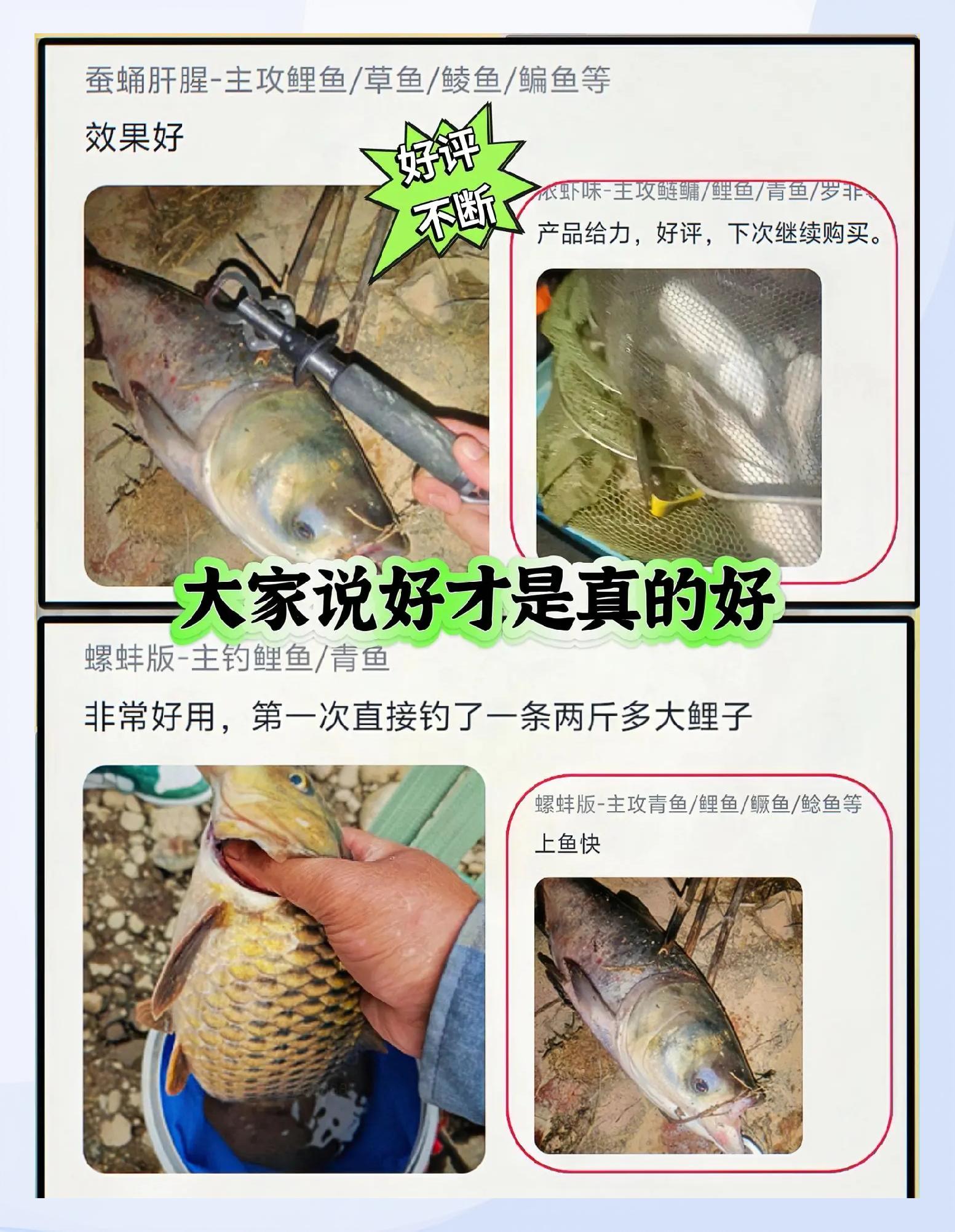 饵料基本知识(饵料基本知识教案)