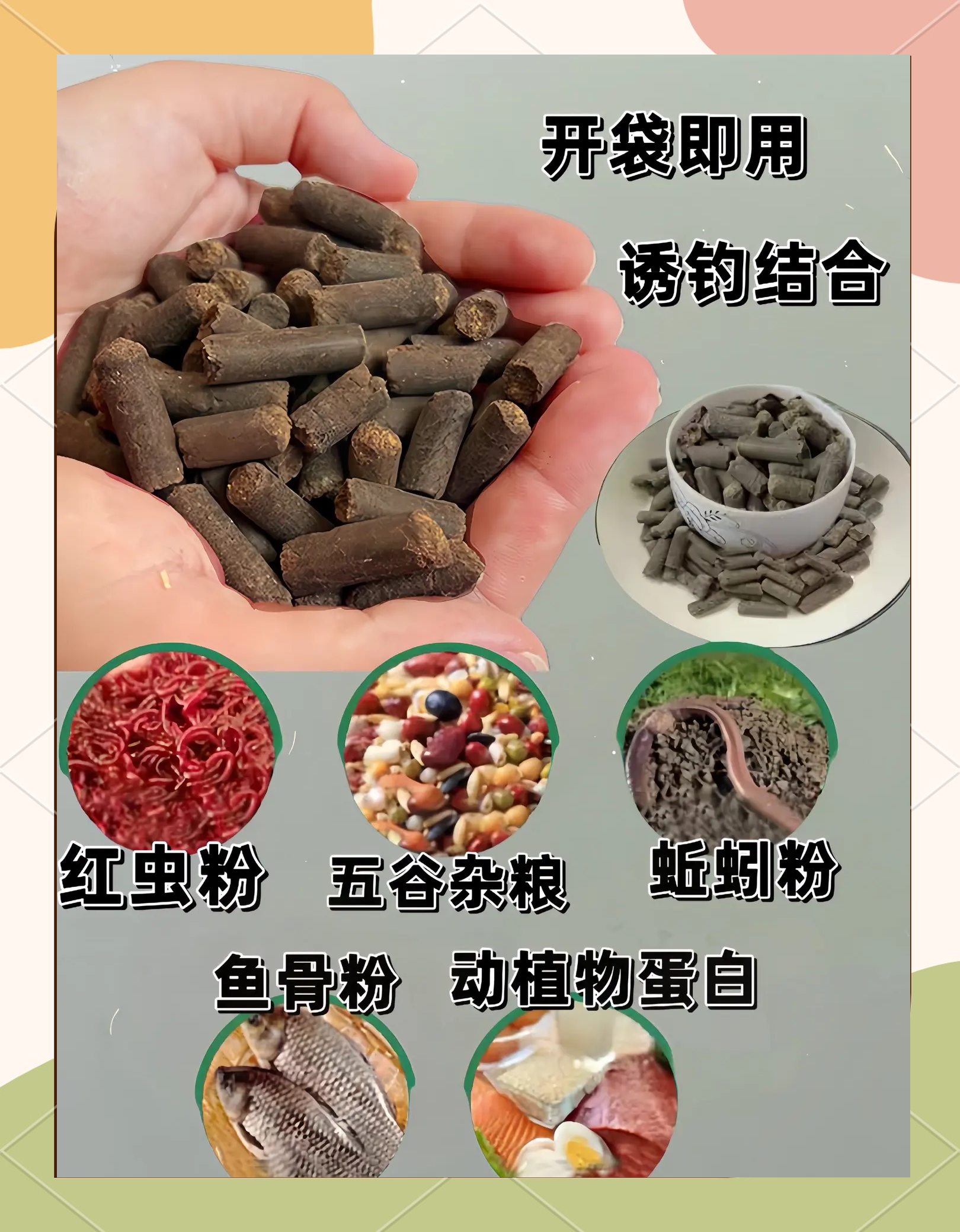 饵料基本知识(饵料基本知识教案)